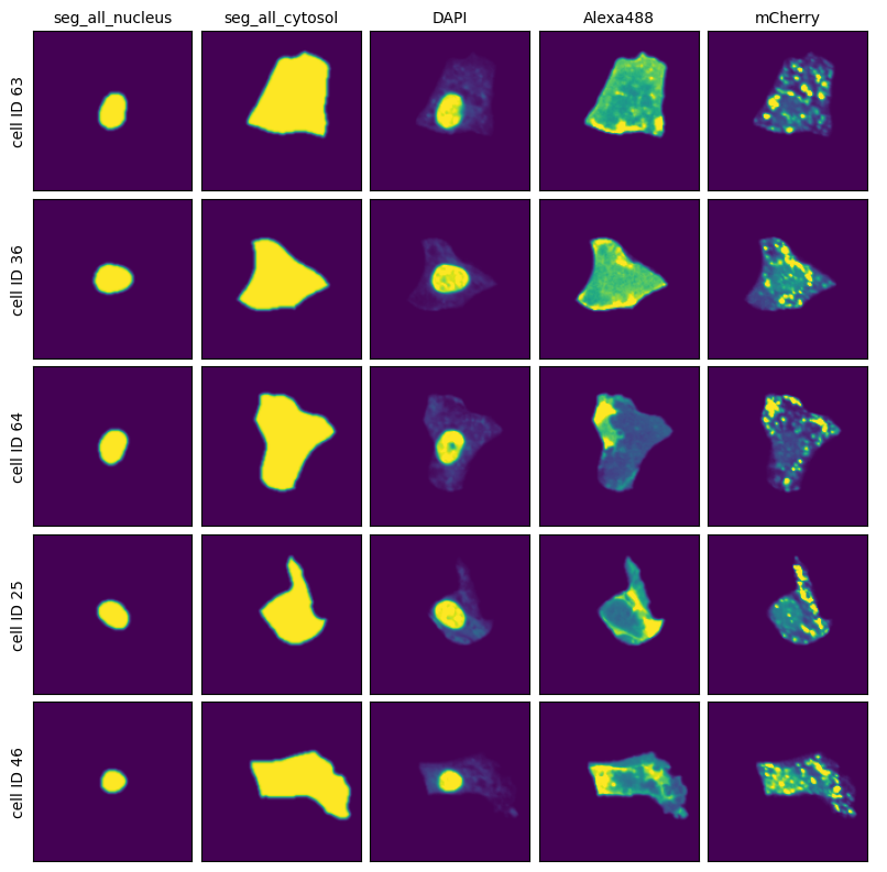 _images/1e8d971f89905c468ff6df9936e843ba732f77ef1510a0ac6dd63ee8b755af20.png