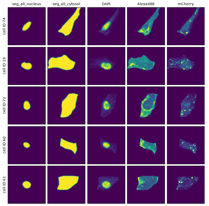 _images/a0d44b709cc33a98c2a85544182488403091035fc6176450a478347ae4f608c4.png