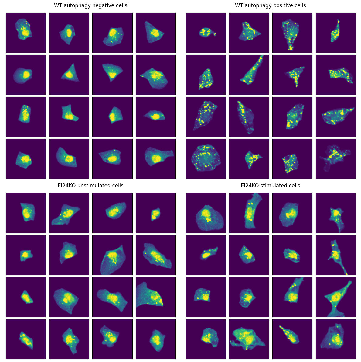 _images/ae57acae2e96fac97102fea4aac6457017d6dfcf00b76950698dc003caf19fa6.png