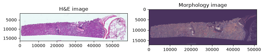 _images/b95f56c91d4036ecdbc75ef0810f1f0cb66829288e350ee39f0931c76c29a600.png
