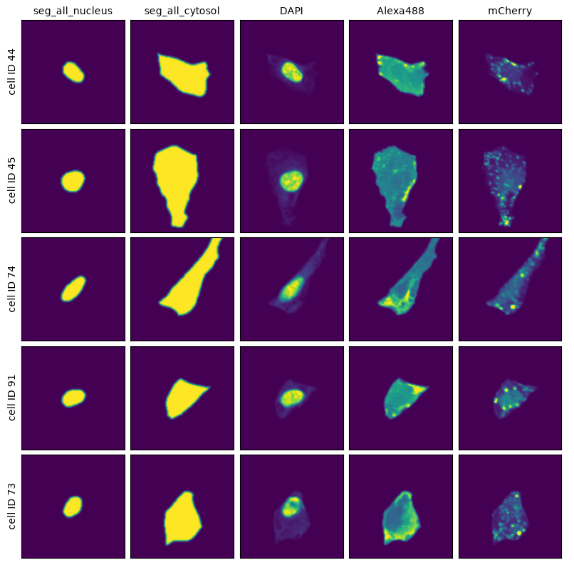 _images/d33262cffe8040e07f54a08a44ab6f676022442a297d439cfa6f4aa0f8e94b5c.png
