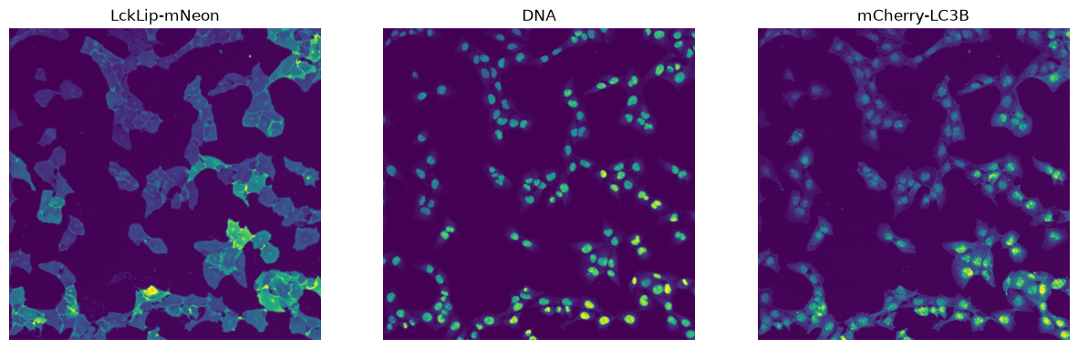 _images/e61d620229023f624f7e30acd43317df9a155e553dda8da74eefb4099c82c0ce.png