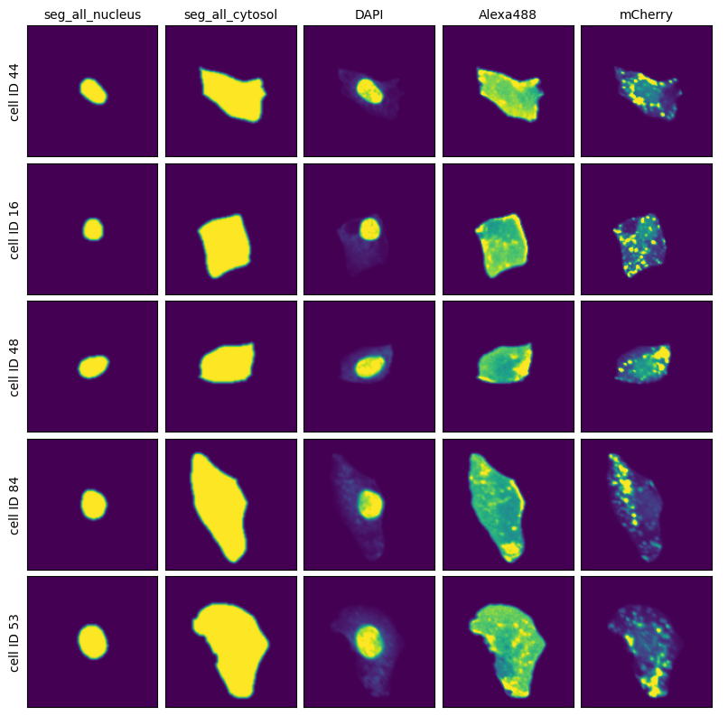 _images/f83d17a716a41514f9f8f43b36cf259c6ae34f5ccbb6602465abb2db43db45f5.png