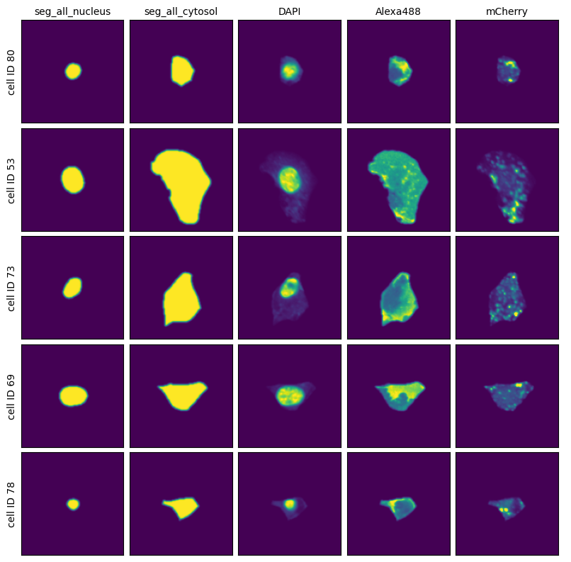 _images/f9e4aae954a9784ac154f34ca61d41e01f85ae0557211d1eb1638e0575ec832f.png